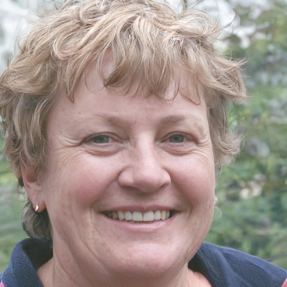 Especialista en análisis de solvencia